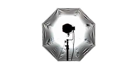 Photoshoots | Stand Out Shots Portraits &Amp; Headshots - Stand Out Shots